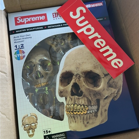 Supreme 4d exploded skull anatomy model - Picture 1 of 4